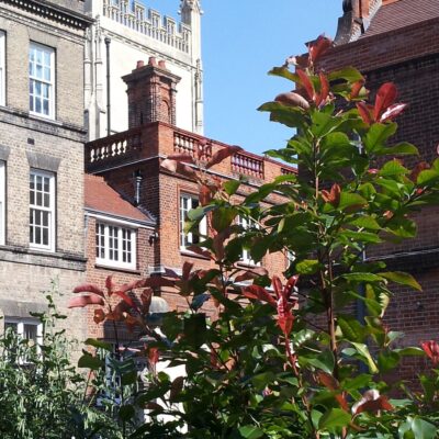 View of Mill Lane from outside the University Careers Centre