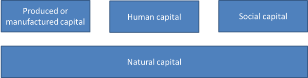 Types of capital